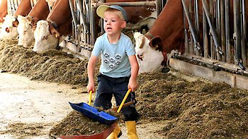 Mithelfen im Stall beim Bauernhofurlaub in Bayern